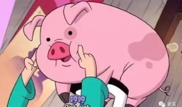 猪哥哥天天爆料视频,揭秘娱乐圈幕后真相