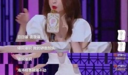 沈梦辰爆料范丞丞视频,事件背后真相揭秘