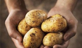 土豆bug网红吃瓜微博,揭秘娱乐圈幕后真相