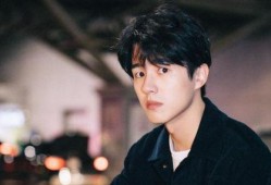 娱乐圈爆料刘昊然,娱乐圈再掀波澜