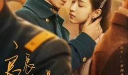 zwartboek在线观看,揭秘黑暗真相的在线观影之旅