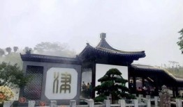 南宁园博园爆料视频,揭秘网红打卡地背后的故事