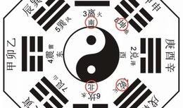 福建最新八卦爆料