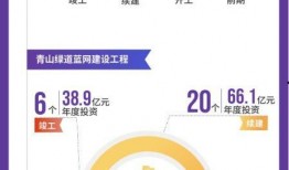 2021年最新新闻爆料,揭秘重大新闻事件背后的真相