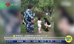 毛人龙被爆料了吗视频,真相究竟如何？