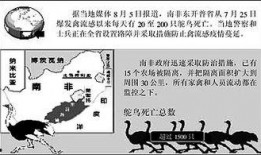新闻爆料禽流感,紧急应对与防控措施全面启动