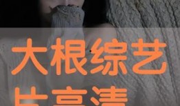 根在线观看,探寻家族传承与民族记忆的在线之旅