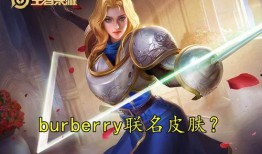 王者神偷夏洛特爆料视频,王者神偷背后的神秘故事