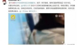 最惨的学生爆料视频完整版,最惨学生爆料视频完整版深度解析