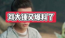 刘大锤最新爆料杨紫是谁,刘大锤最新爆料引发热议