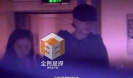 临时同居爆料视频下载,视频爆料背后的惊人真相