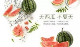 单位免费吃瓜标语,共享夏日清凉时光