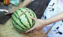 新瓜最新爆料具体做法,独家揭秘事件背后惊人真相