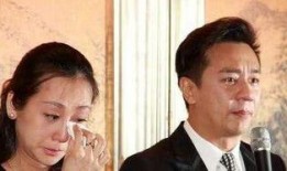 陈浩民保姆爆料视频播放,揭秘明星家庭背后的真相