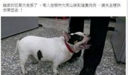 巴哥最新爆料新闻事件,最新热点事件背后真相曝光