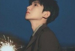 娱乐圈吃瓜男歌手