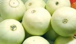 甜瓜最新爆料与地图有关,地图背后的秘密与最新动态