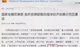 湛江二十八中爆料事件视频,真相与反思