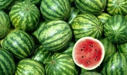 吃瓜爆浆视频下载免费,免费下载攻略大公开