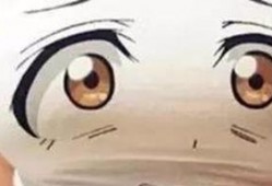 八卦爆料集合视频大全,视频大全揭秘娱乐圈幕后风云