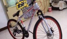 安阳自行车爆料事件最新,真相与反思