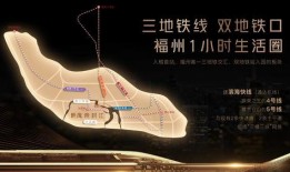 最新棋盘爆料新闻,最新爆料揭示棋坛新格局