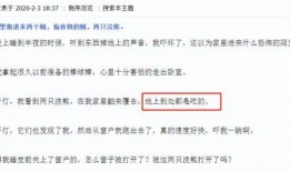 多伦多最新爆料新闻网,揭秘城市热点事件背后的真相