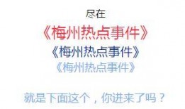 梅州爆料热点新闻,揭秘当地热点事件背后的真相