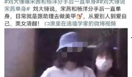 刘大锤爆料宋茜视频大全,宋茜视频大全幕后故事大曝光