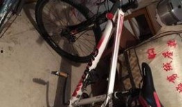 安阳自行车爆料事件最新,真相与反思