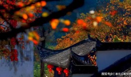 风景爆料胜仔视频,探寻大自然的秘境奇观