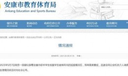 陕西爆料最新消息视频播放,视频揭露惊人内幕，详情敬请关注